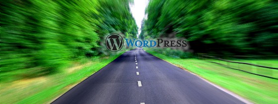 Wordpress SEO tips