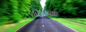 "Wordpress SEO tips"